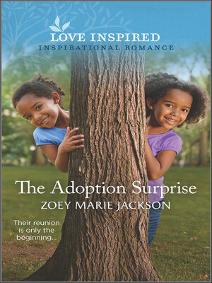 cover image of The Adoption Surprise